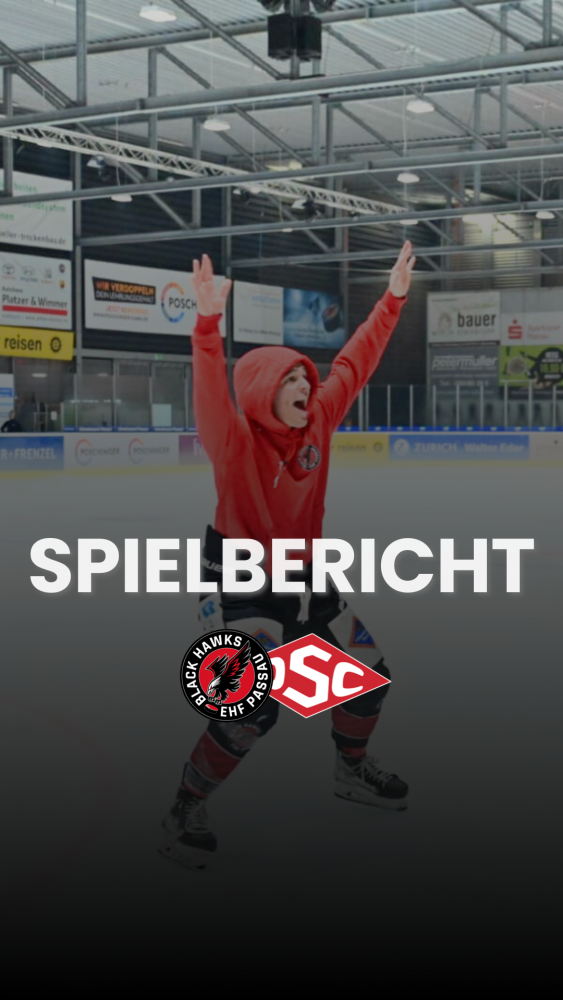 Spielbericht Deggendorf Story Heim
